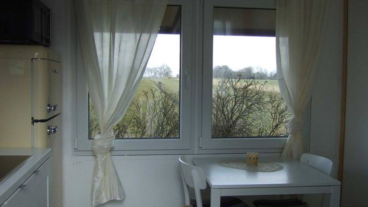 Ferienhaus für 2 Personen (20 m²) in Kollmar in Kollmar, Kreis Steinburg