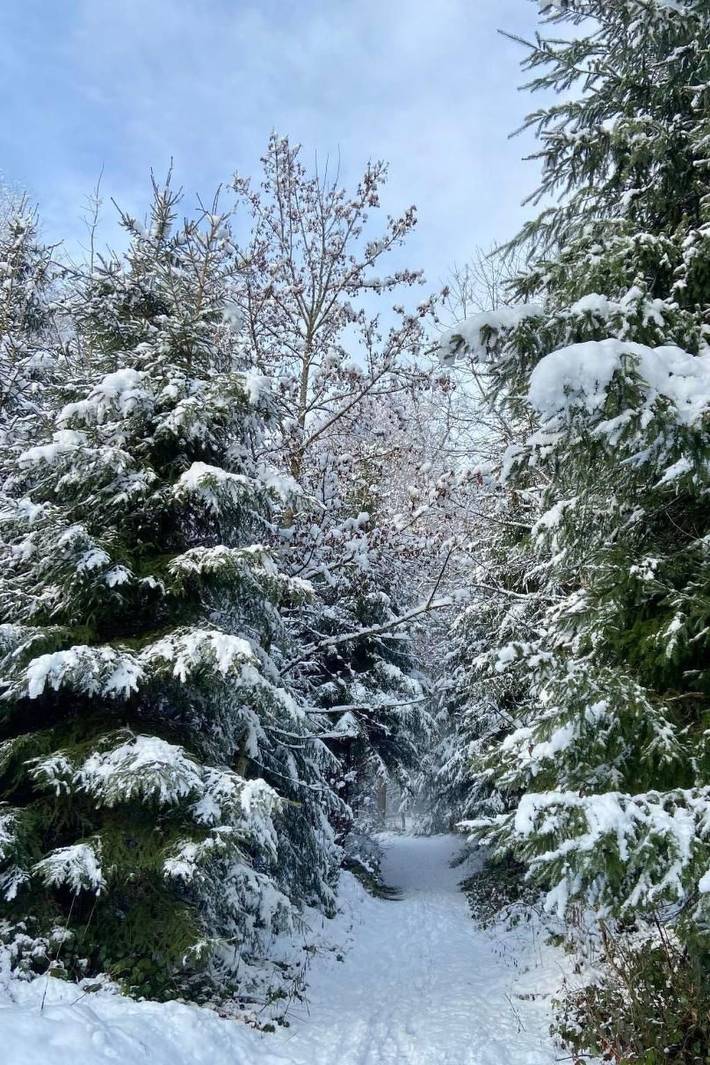 Ferienhaus für 6 Personen, mit Garten und Balkon in Kanton Freiburg - 3