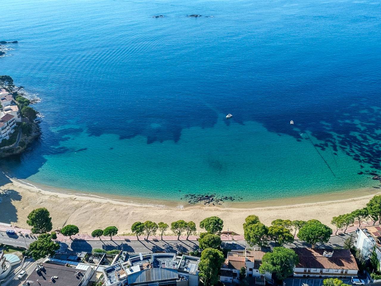 Madreselva in l'Almadrava, Roses