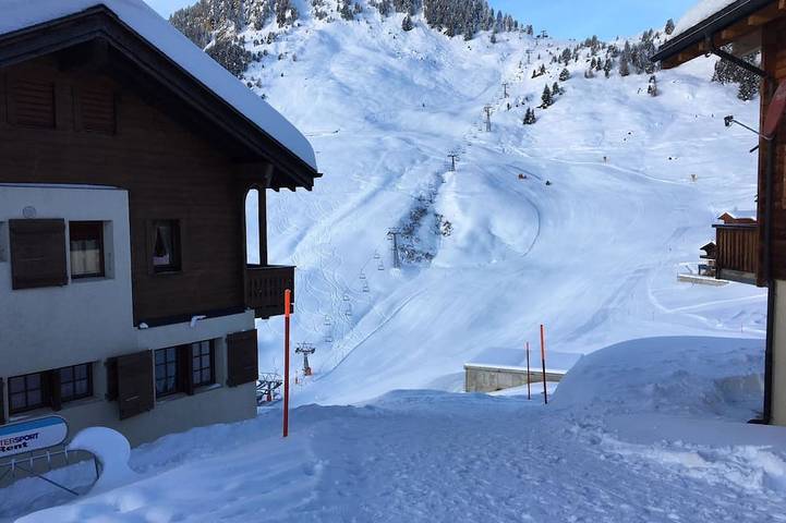 Ganze Wohnung, Almenrausch 2. Og Süd-West Appartement/Fewo, Dusche, Wc in Riederalp, Aletsch Arena