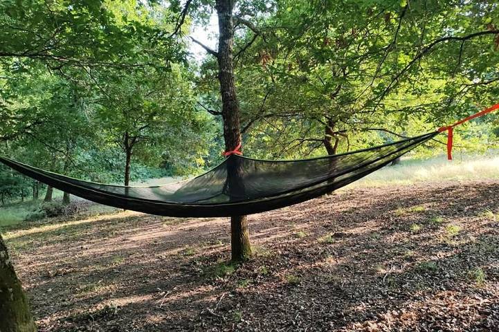 Location de vacances pour 11 personnes, animaux acceptés dans Saugnacq-et-Muret - 4