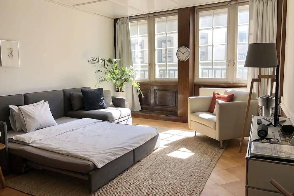 Ganze Wohnung, Zentrum der Altstadt von Bern, nur wenige Schritte von der Stadt die wichtigsten Sehenswürdigkeiten entfernt in Bern, Berner Oberland