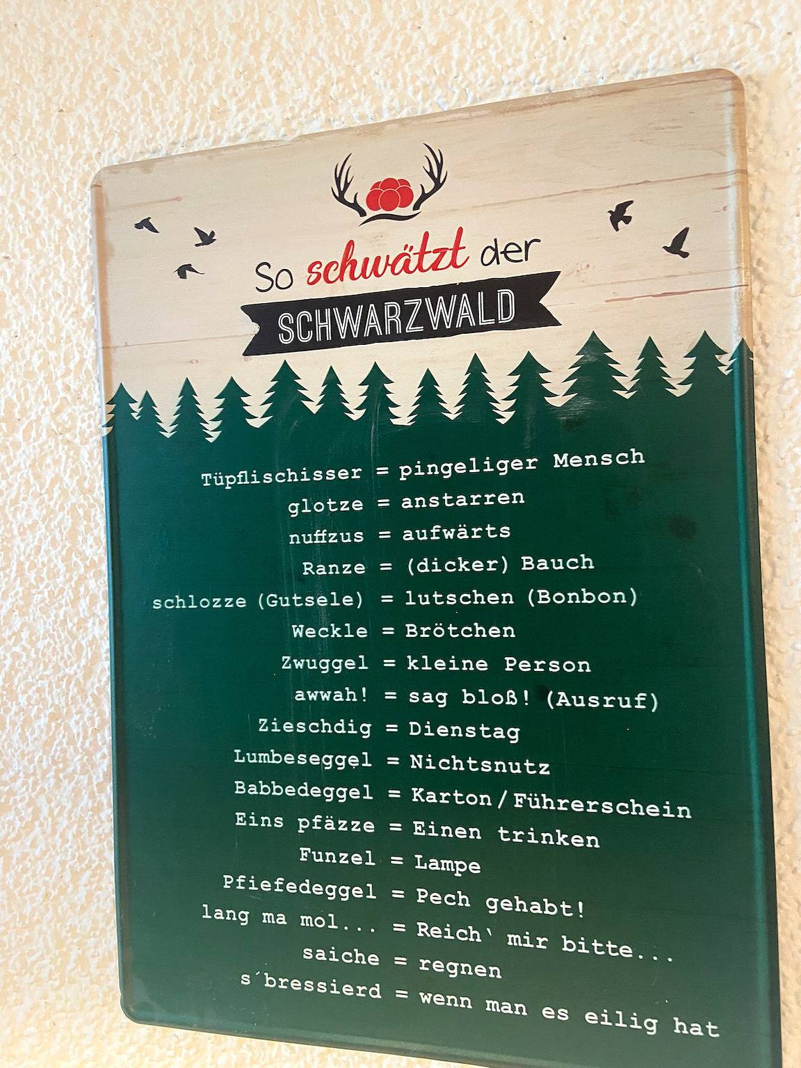 Apartamento vacacional entero, Fewo 1 - Residenz Schauinsland - mit Sauna, E-Ladestation, Todtnauberg,  bei Feldberg in Todtnauberg, Todtnau