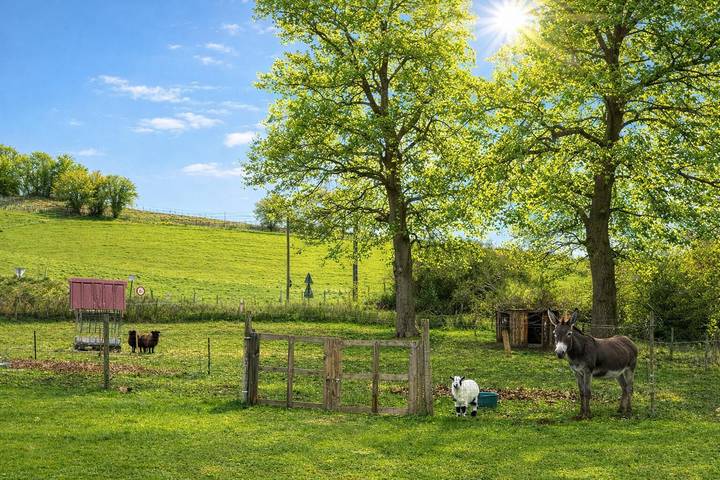 Chambre d’hôte pour 2 personnes, avec jardin dans Béarn - 3