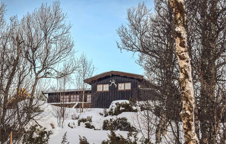 Ferienhaus für 6 Personen mit Terrasse in Nore og Uvdal