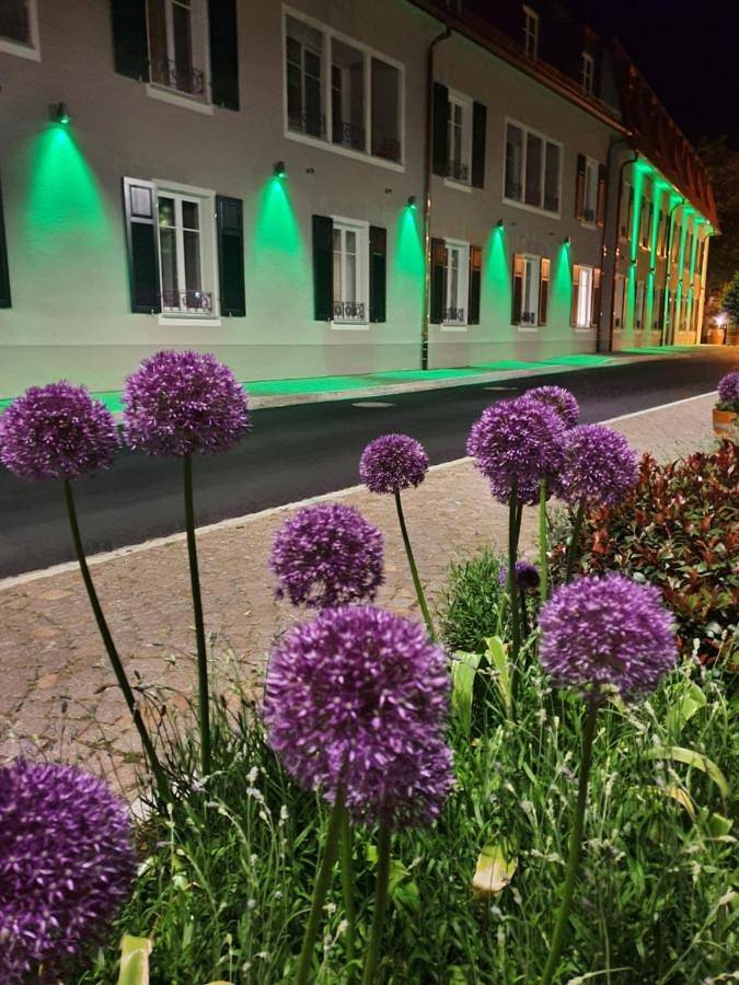 Hotel für 2 Personen mit Terrasse in Haslach im Kinzigtal, Kinzigtal