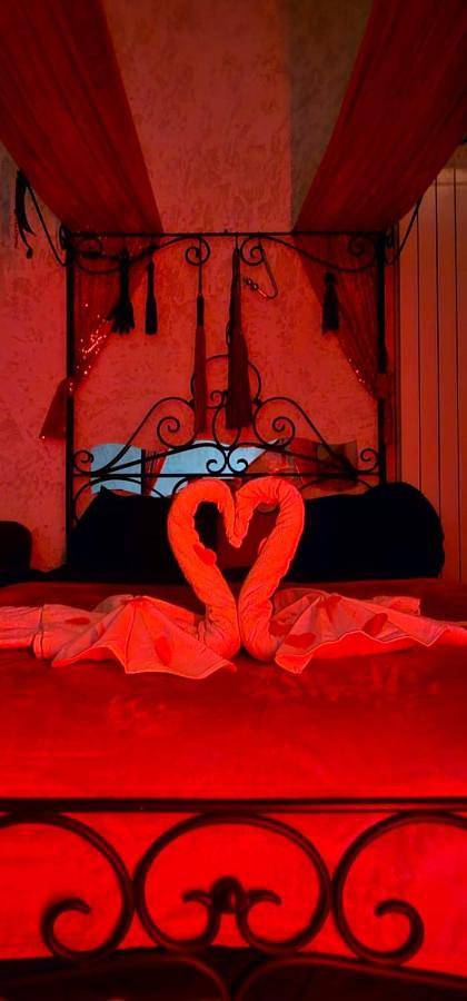 Gîte pour 4 personnes, avec jardin et vue ainsi que piscine et terrasse à Tourves - 4