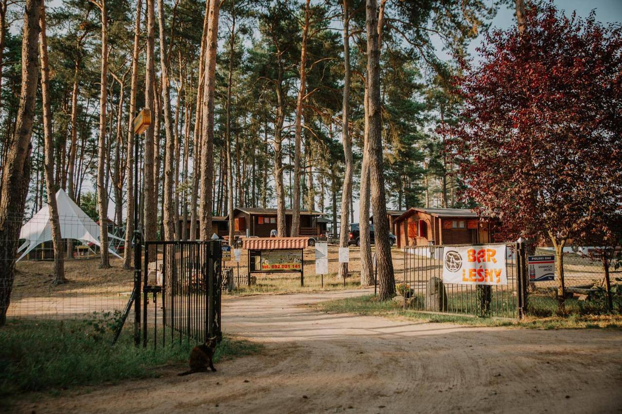 Family Room with Private Bathroom in Bory Tucholskie