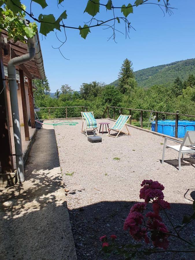 Location de vacances pour 10 personnes, avec piscine ainsi que jacuzzi et terrasse à Rupt-sur-Moselle - 2