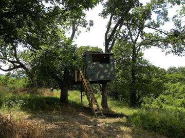 Log Cabin for 6 Guests in Oklahoma, USA, Picture 1