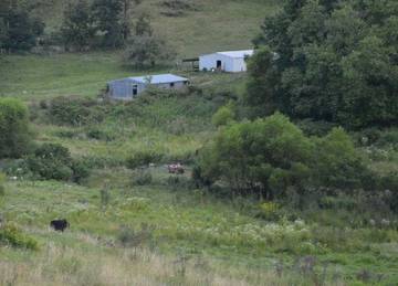 Vacation House for 5 Guests in Ohio, USA, Picture 4