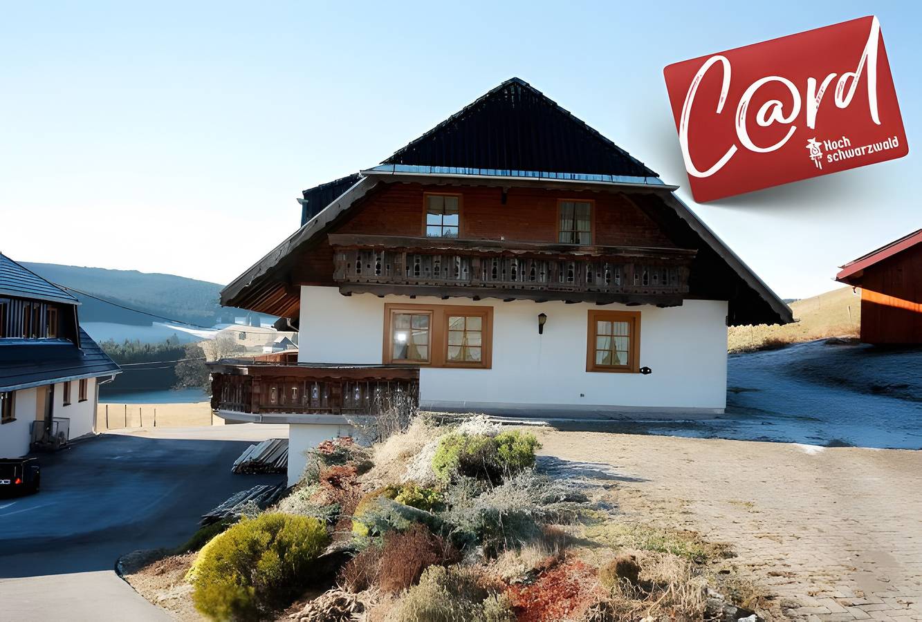 Ganze Wohnung, Ferienwohnung 'Erdgeschoss' mit Bergblick, privater Terrasse und Wi-Fi in Schollach (Eisenbach), Eisenbach