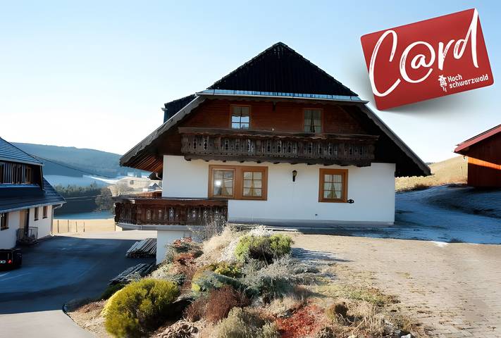Ganze Wohnung, Ferienwohnung 'Erdgeschoss' mit Bergblick, privater Terrasse und Wi-Fi in Schollach (Eisenbach Hochschwarzwald), Eisenbach Hochschwarzwald