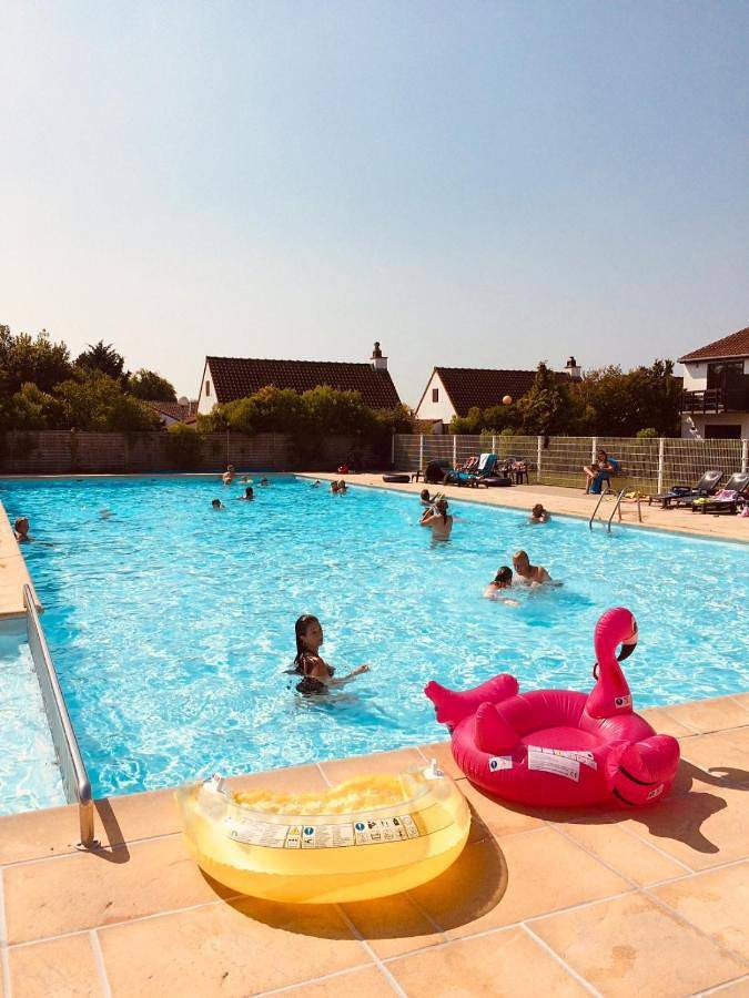 Parc de vacances pour 5 personnes, avec vue ainsi que piscine et jardin, animaux acceptés en Belgique - 3