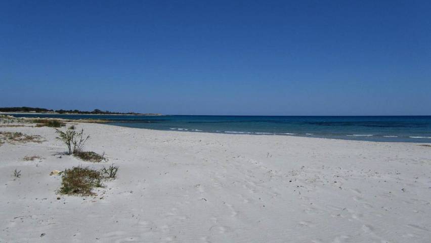 Location de vacances pour 8 personnes, avec terrasse et jardin, animaux acceptés à Cala Liberotto - 2