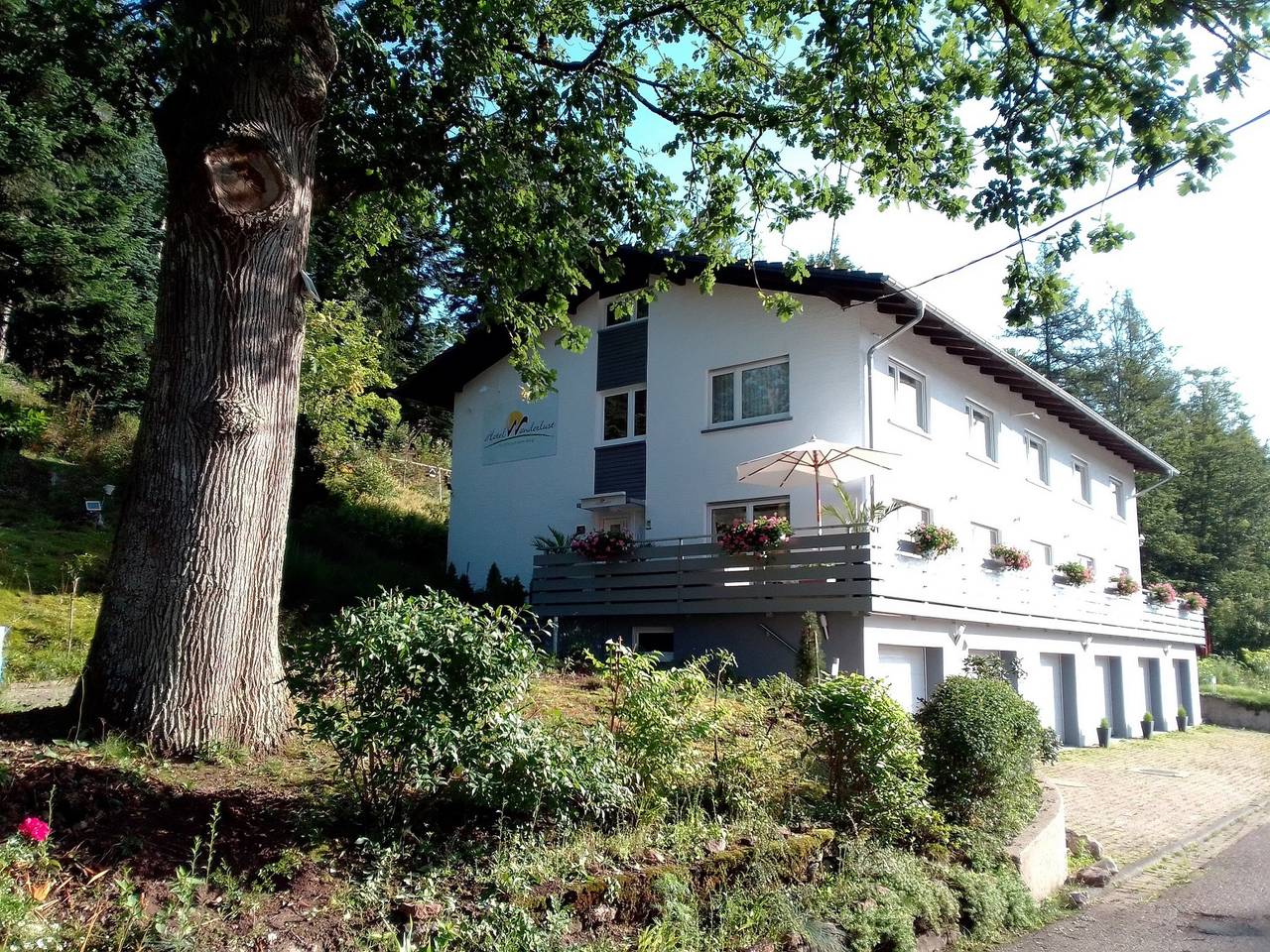 Hotel Wanderlust B&B - Einzelzimmer mit Dusche und Wc in Gernsbach, Nordschwarzwald