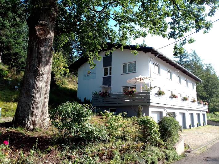 Hôtel pour 2 personnes, avec terrasse à Gernsbach - 2