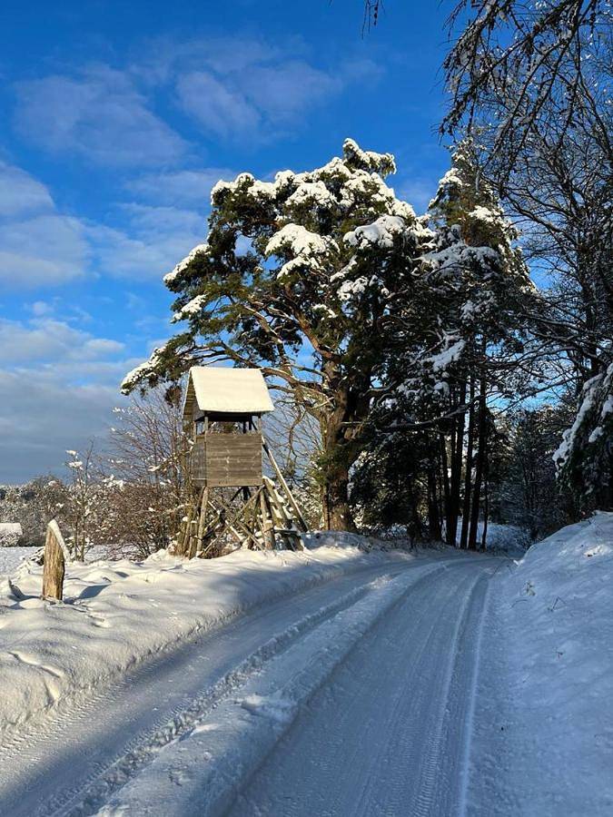 Chambre d’hôte pour 16 personnes, avec jardin ainsi que jacuzzi et piscine en Pologne - 4