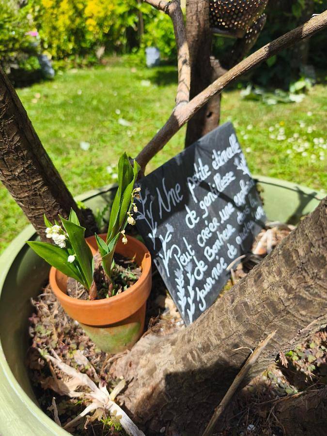Hôtel pour 3 personnes, avec terrasse et vue à Nolay - 2