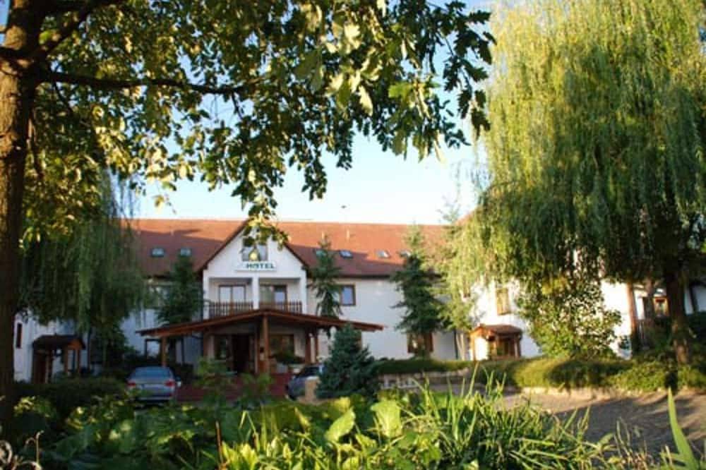 Einzelzimmer 1 - .Sachsenhotel in Torgau, Nordsachsen