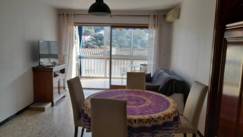Gîte pour 4 personnes, avec balcon et vue, animaux acceptés dans Plage Fabrégas - 3