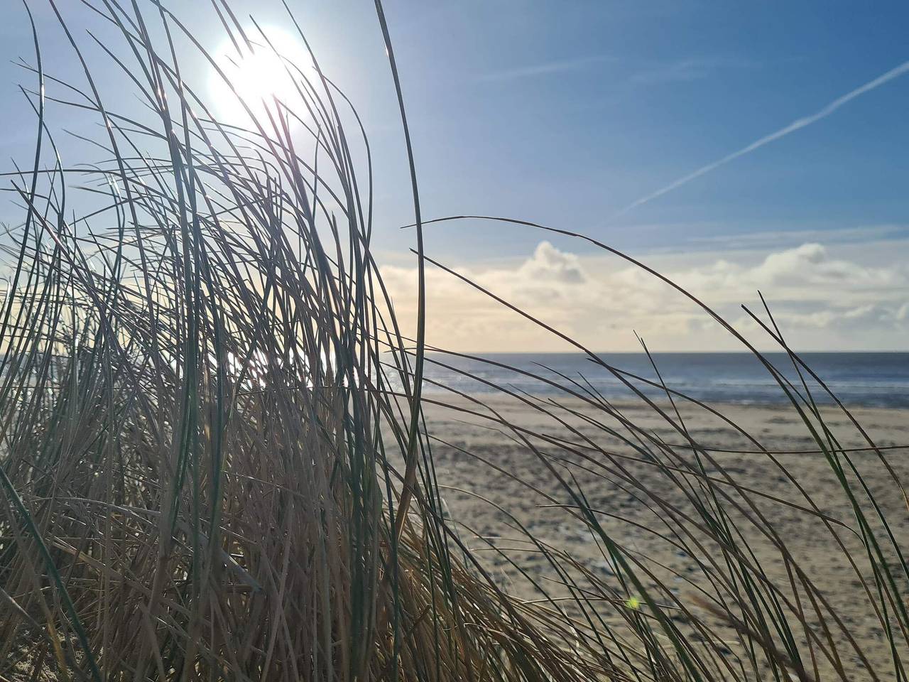 Luxus-Oase in Blavand in Blavand, Varde