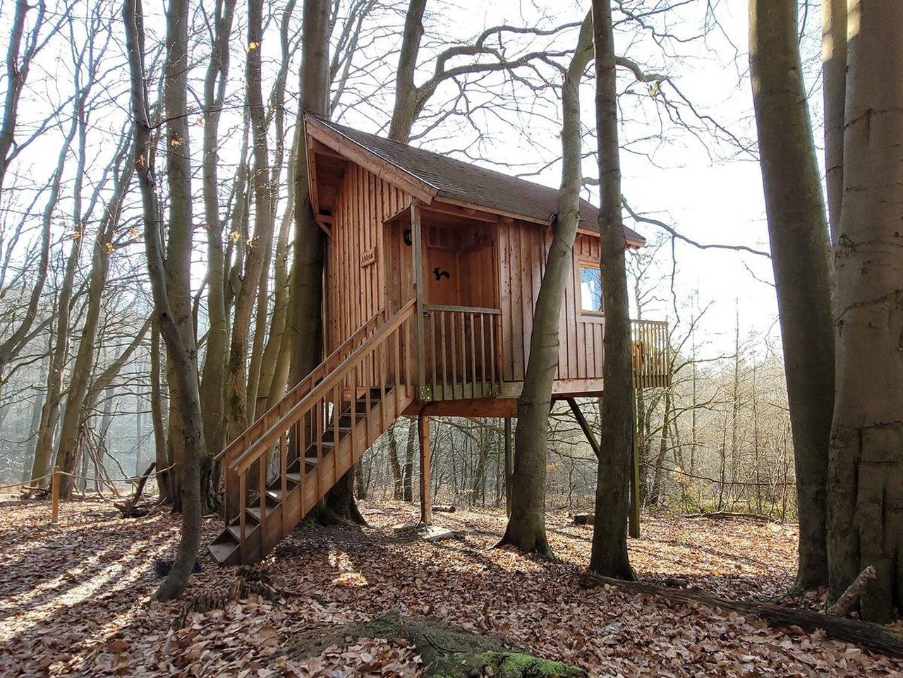 Ganze Ferienwohnung, Baumhaushotel Solling - Baumzelt Fichte in Uslar, Weserbergland