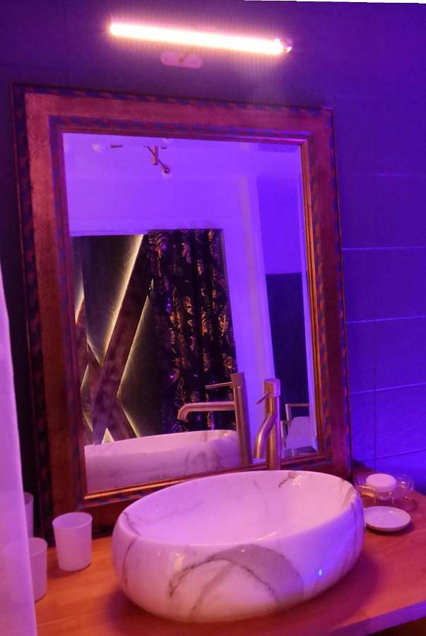 King Room with Spa Bath in Paroisse Saint-Damien-en-Châtelleraudais, Vienne (France)