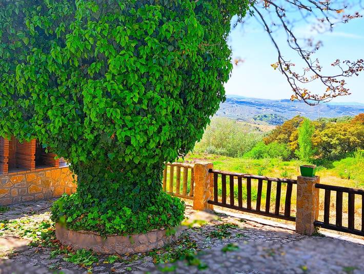 Casa rural para 4 personas, con Balcón además de Terraza y Piscina en Algarinejo - 4