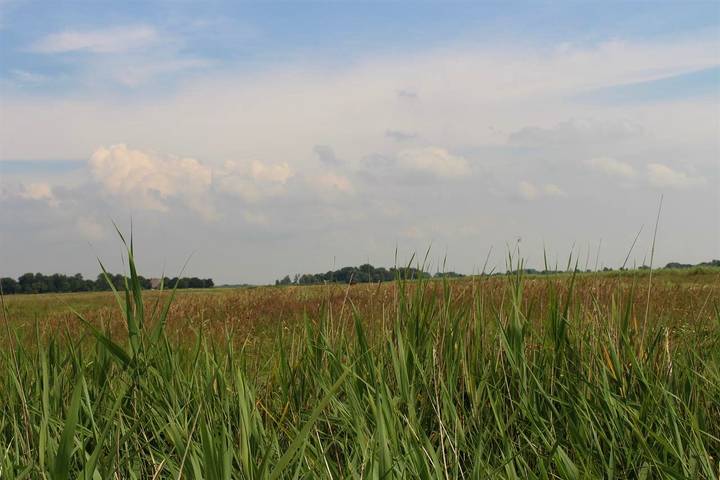 Ferienwohnung für 3 Personen, mit Terrasse, mit Haustier in Poppenbüll - 3
