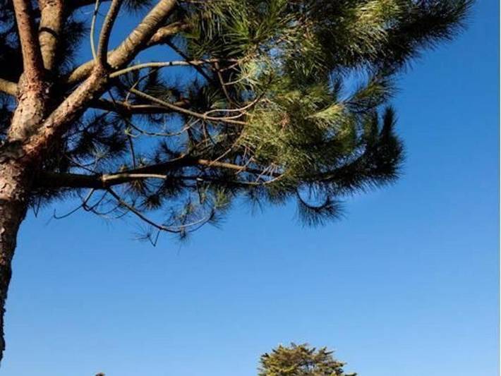 Location de vacances pour 8 personnes, avec jardin ainsi que terrasse et piscine à Cugand - 3