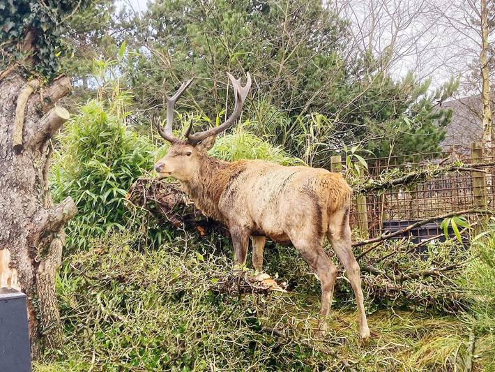 Ferienhaus für 2 Personen, mit Haustier in Vejers Strand - 2