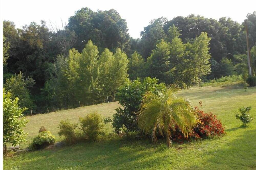 Ganze Wohnung, Beautiful studio in corsica in Folelli, Penta-di-Casinca