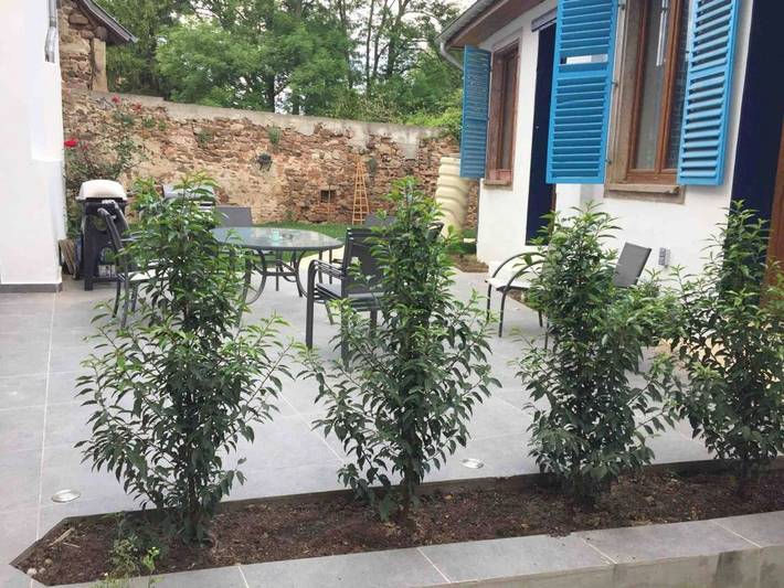 Location de vacances pour 8 personnes, avec vue ainsi que jardin et sauna à Gertwiller - 3