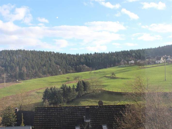 Ganze Ferienwohnung, Ferienwohnung am Waldesrand - Appartement/Fewo, Dusche und Bad, Wc, 1 Schlafraum in Reuschenbach, Hausen (Wied)