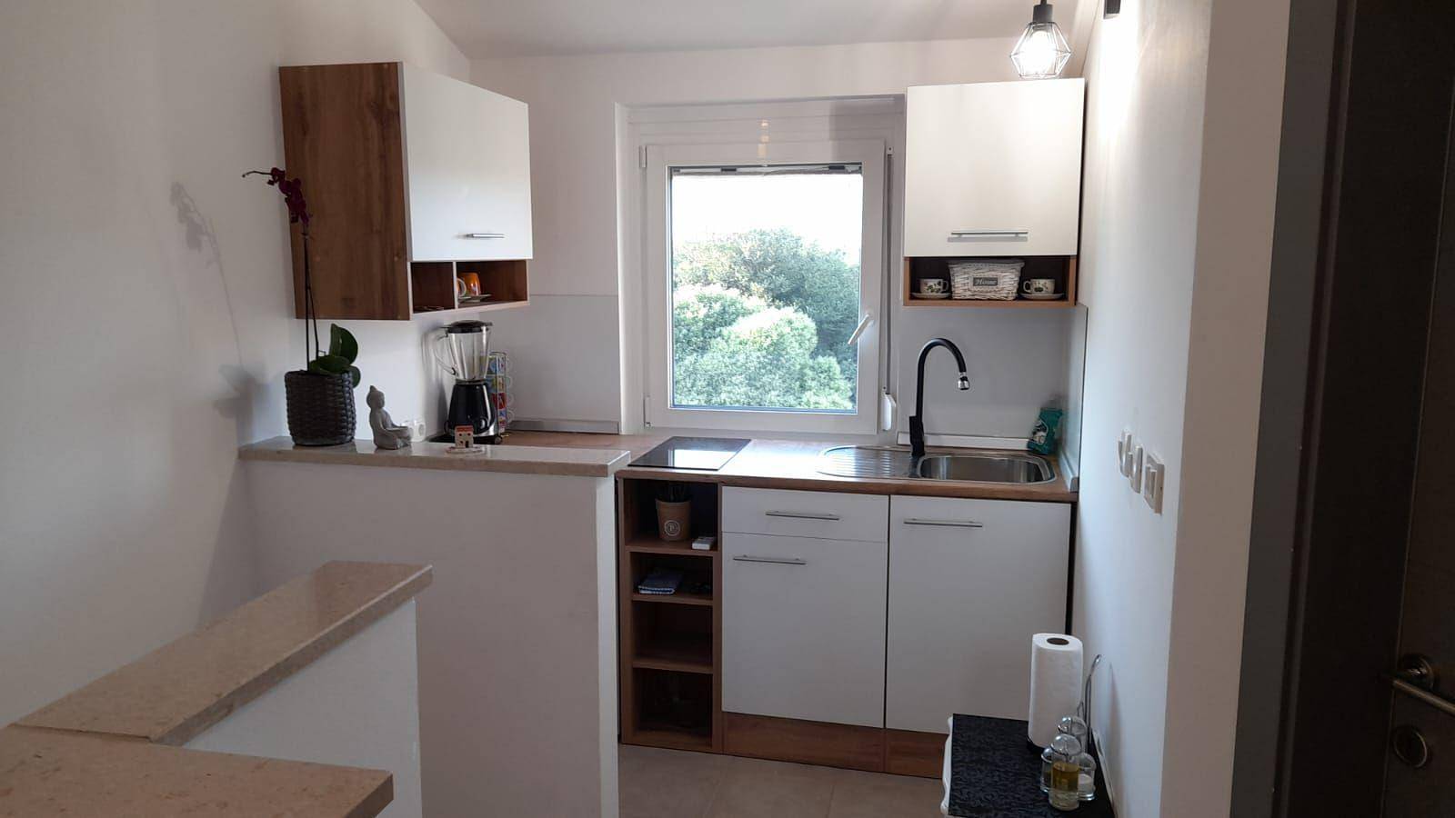 Ganze Ferienwohnung, Apartment Smokvica in Savudrija, Umag und Umgebung