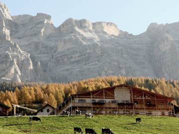 Bauernhof für 3 Personen in San Cassiano, Abtei, Bild 1