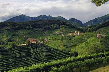 Location de vacances pour 7 personnes à Follina