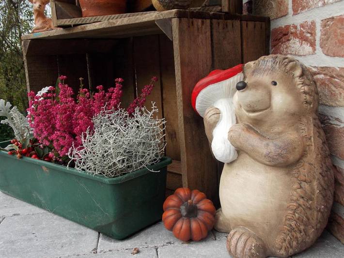 Location de vacances pour 2 personnes, avec vue et jardin à Profondeville - 4