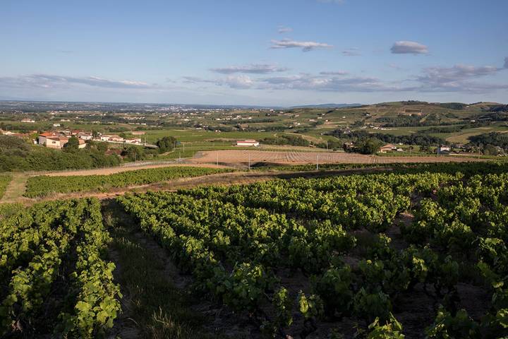 Gîte pour 49 personnes, avec jardin et terrasse, animaux acceptés dans Rhône - 2