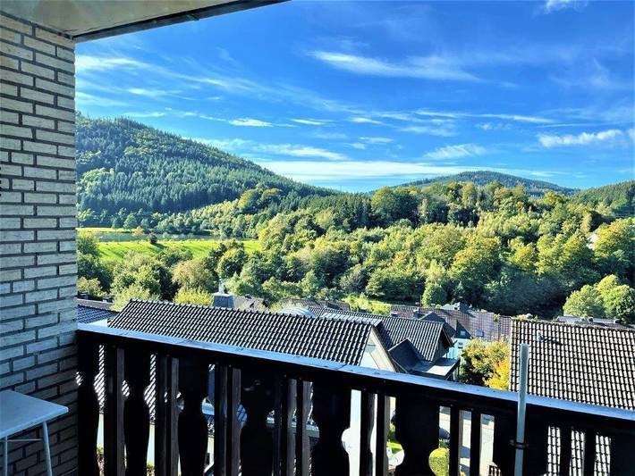 Ferienwohnung für 4 Personen, mit Balkon und Balkon/Terrasse sowie Garten und Seeblick in Winterberg - 3