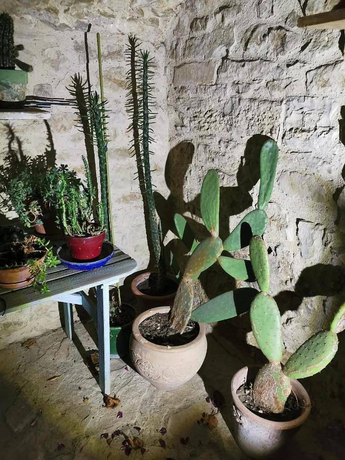 Gîte pour 3 personnes, avec terrasse et piscine à Saint-Montan - 2