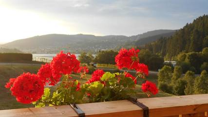 Gîte pour 4 personnes, avec vue ainsi que terrasse et vue sur le lac, animaux acceptés dans Lac de Gérardmer