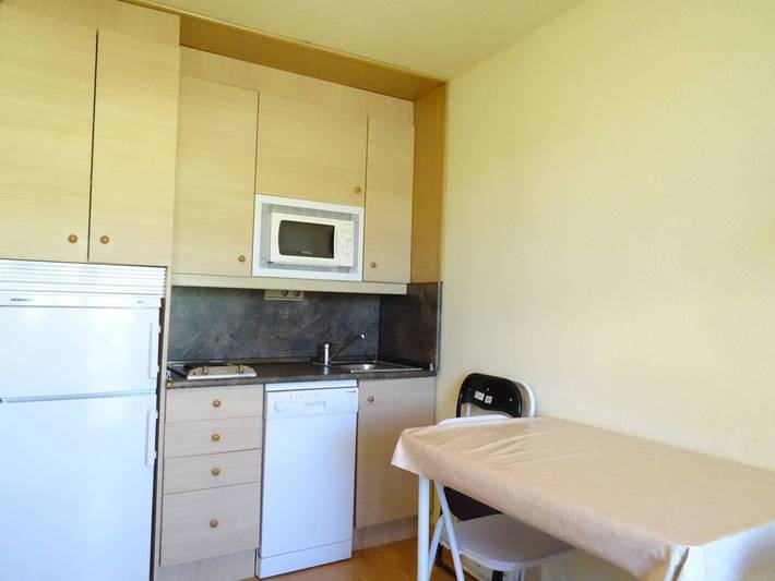 Ganzes Studio, Arette: 4 Pers. Apartment an der Piste mit Balkon, Parkplatz, Aufzug in La Pierre Saint-Martin, Arette