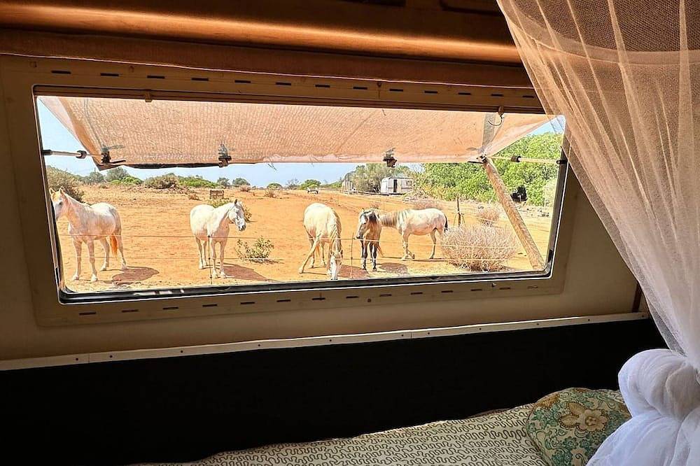Pauls Wohnwagen für 4 - Sehen Sie die Pferde vom Bett aus in Barão de São João, Bensafrim e Barão de São João