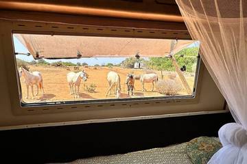 Camping für 3 Personen in Bensafrim e Barão de São João, Algarve, Bild 2