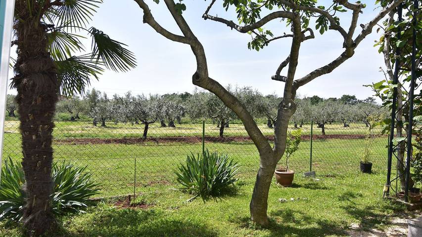 Studio für 3 Personen