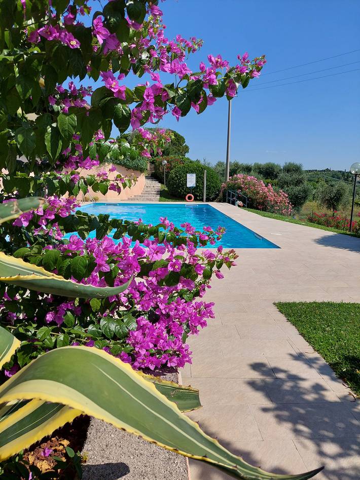 Ferienwohnung für 6 Personen in Bardolino