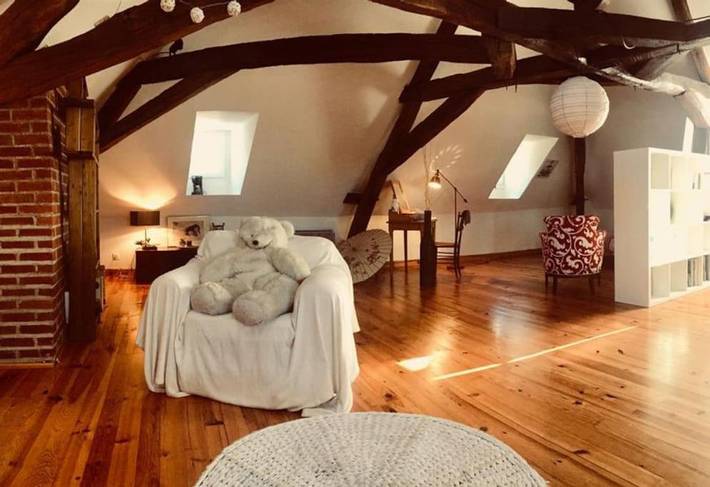 Location de vacances pour 9 personnes, avec Terrasse et Jardin à Sainte-Maure-de-Touraine
