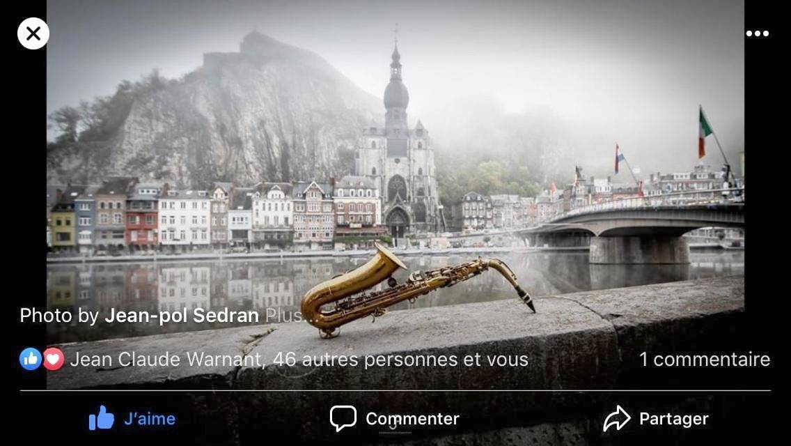Les Voisins De Mr Sax in Dinant, Région de Namur